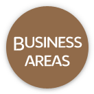 Business areas